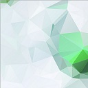 NFSC标书 初审结果 查询