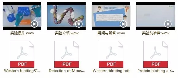 1522205667802073.jpg 640.webp.jpg