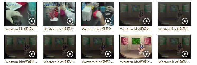 1522205674441384.jpg 0.jpg