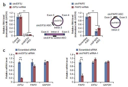 1523261174926504.jpg 1523261174926504.jpg