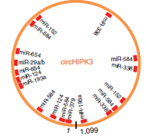 1523261225479381.png 3.png