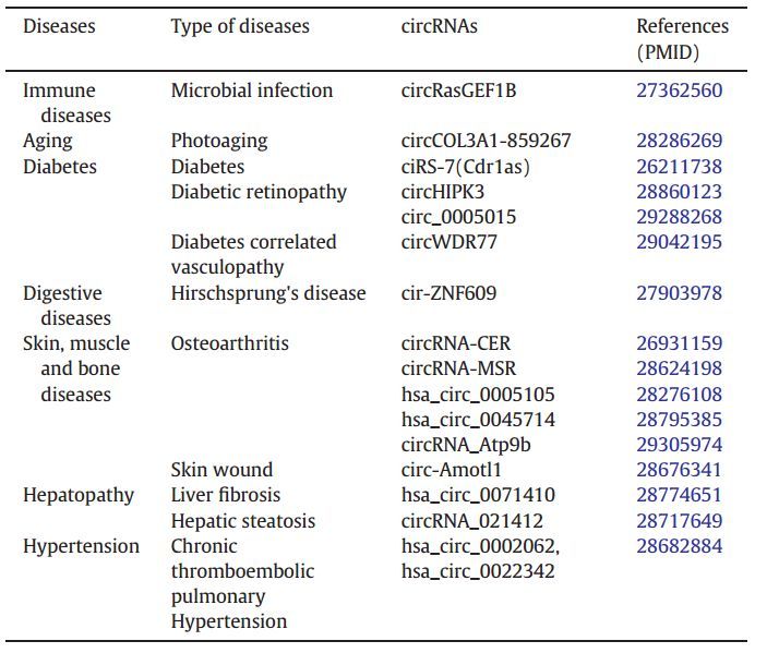 1523261580513994.jpg 1523261580513994.jpg