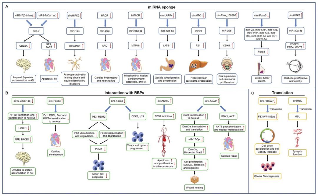 1523261644671497.jpg 1523261644671497.jpg