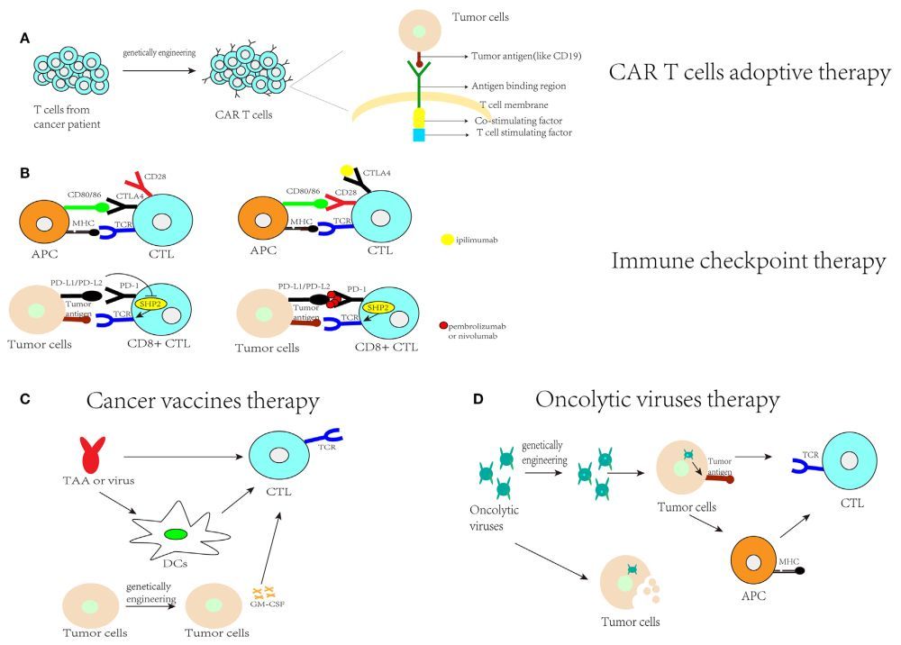 1523261685535464.jpg 1523261685535464.jpg