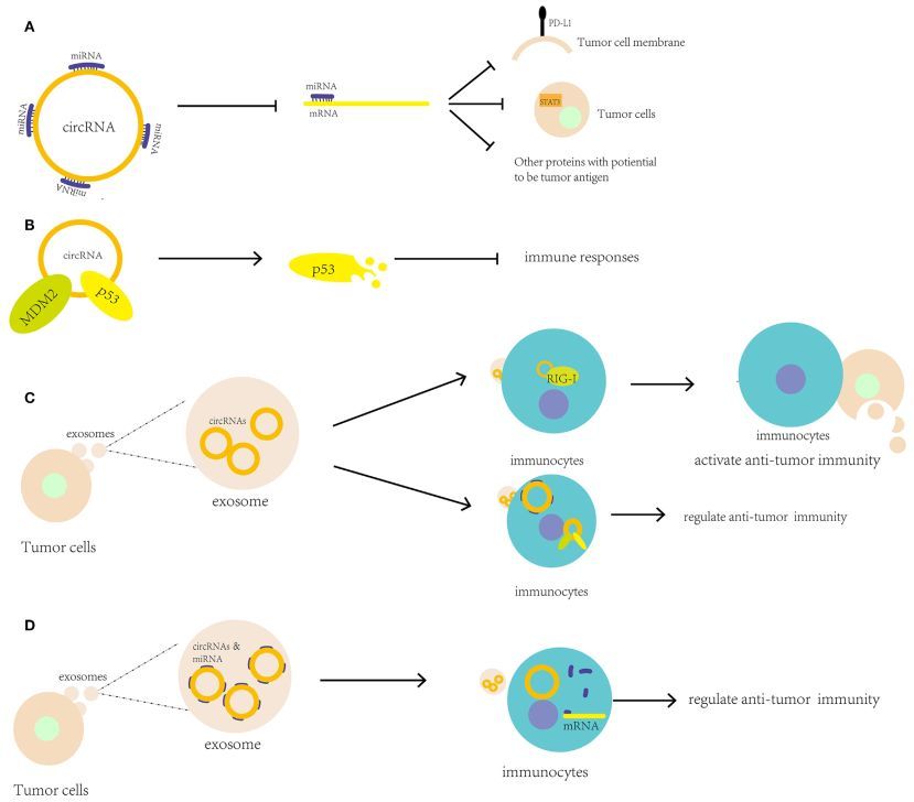 1523261741193738.jpg 1523261741193738.jpg