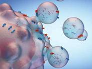 1526607026313436.jpg 热点三 1.jpg