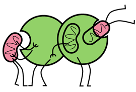 1526607074643257.png 热点四 1.png