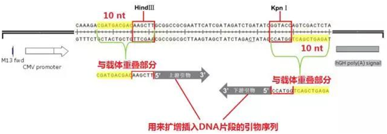 1530781583208334.png blob.png