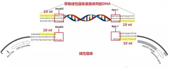 1530781592694288.png blob.png