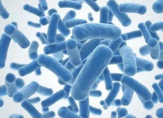 1538980489866101.png image.png