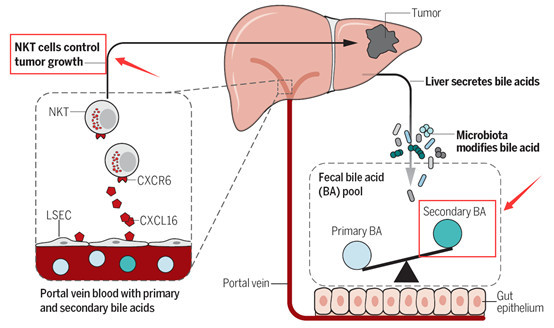 1538980649831922.png image.png