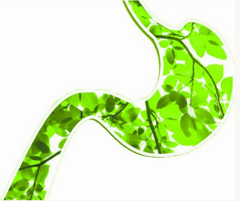 1538980822652188.png image.png