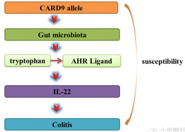 1538980833648925.png image.png