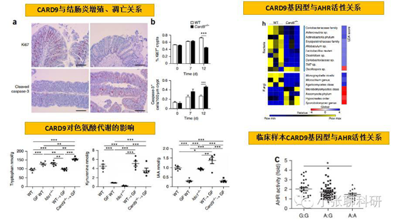 1538980892329442.png image.png