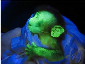 1539565429136125.png image.png