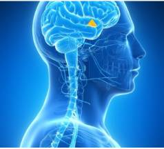 1539565474817103.png image.png