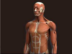 1539565488761713.png image.png