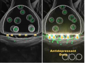 1539565501827542.png image.png