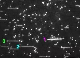 1541987281516027.png image.png