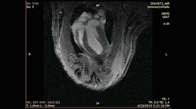 1541988803101472.gif 1.gif