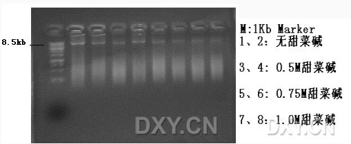 1542159173812415.png image.png